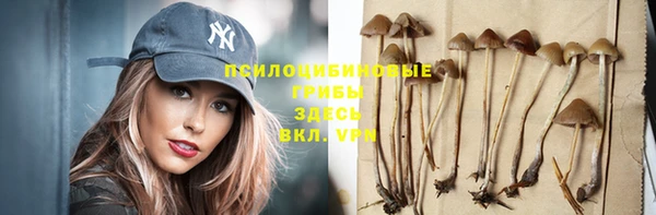 амф Данков