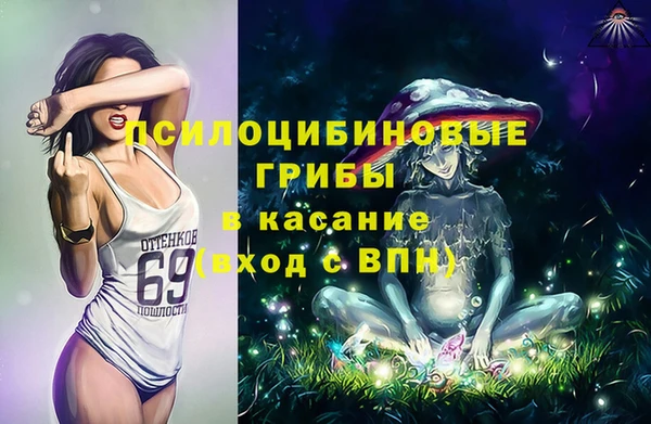 дживик Пестово