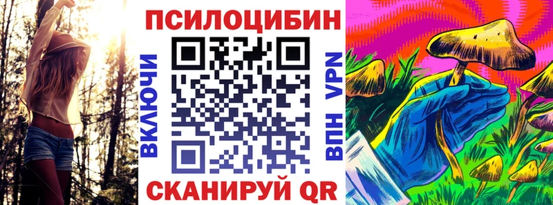 Купить закладки  Коркино  Галлюциногенные грибы мицелий 