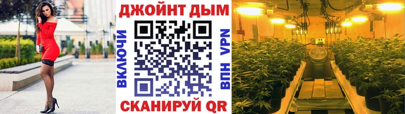 Бошки Шишки ГИДРОПОН  Купить  Коркино 